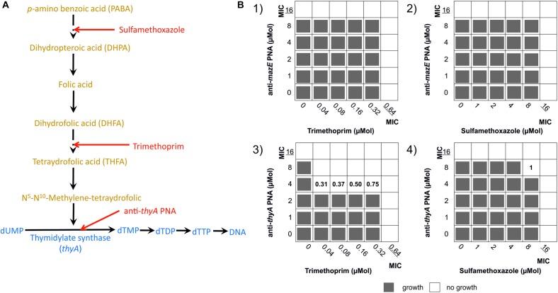 https://cdn.ncbi.nlm.nih.gov/pmc/blobs/3bc8/6275173/a93aee99a815/fmicb-09-02870-g005.jpg