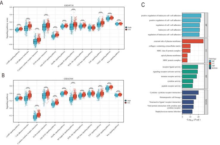 https://cdn.ncbi.nlm.nih.gov/pmc/blobs/3bdb/12292307/cd70bfa8d6fb/peerj-13-19767-g007.jpg