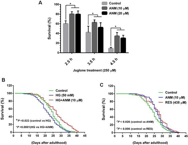 https://cdn.ncbi.nlm.nih.gov/pmc/blobs/3be0/5325331/49e3db71b02d/oncotarget-07-62836-g008.jpg