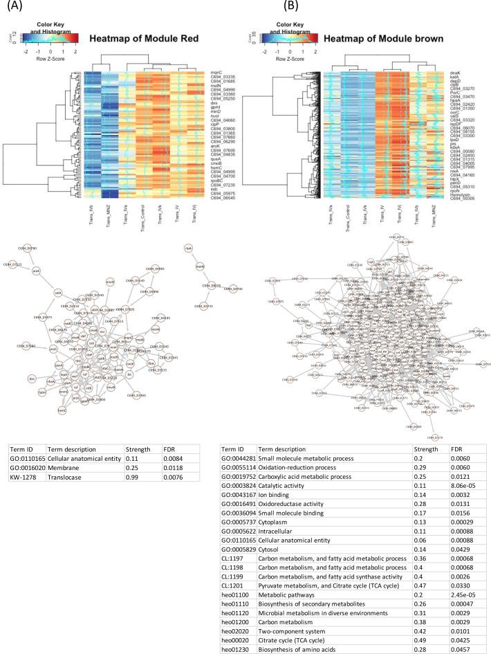 https://cdn.ncbi.nlm.nih.gov/pmc/blobs/3c2a/11434622/e4c078bf21d2/elife-96343-fig4-figsupp1.jpg