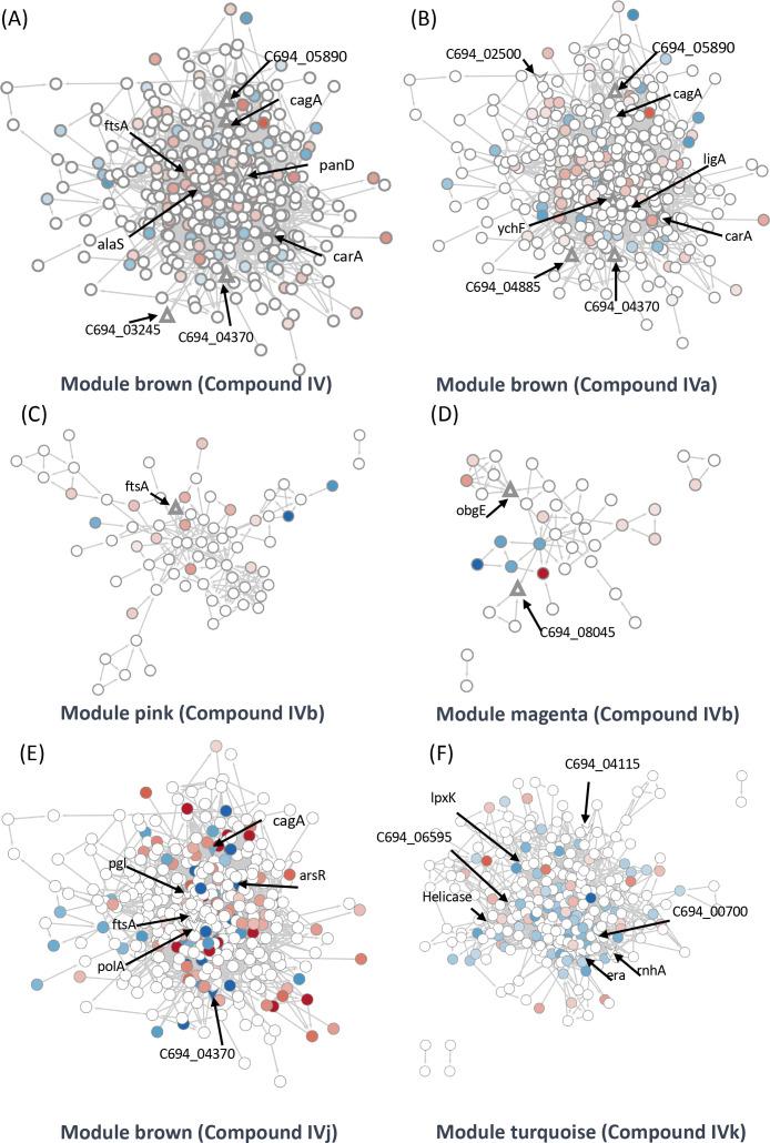 https://cdn.ncbi.nlm.nih.gov/pmc/blobs/3c2a/11434622/f448ffab1a3d/elife-96343-fig5.jpg