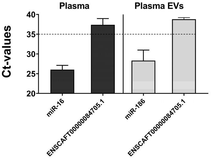 https://cdn.ncbi.nlm.nih.gov/pmc/blobs/3c4d/11359073/a8ef7f01068b/vetsci-11-00361-g005.jpg