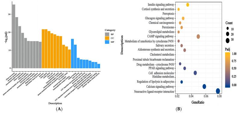 https://cdn.ncbi.nlm.nih.gov/pmc/blobs/3c53/11050333/67da060af8df/genes-15-00507-g006.jpg