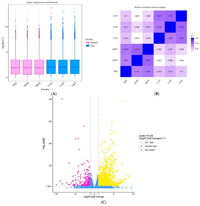 https://cdn.ncbi.nlm.nih.gov/pmc/blobs/3c53/11050333/8e41ad5ff75c/genes-15-00507-g005.jpg