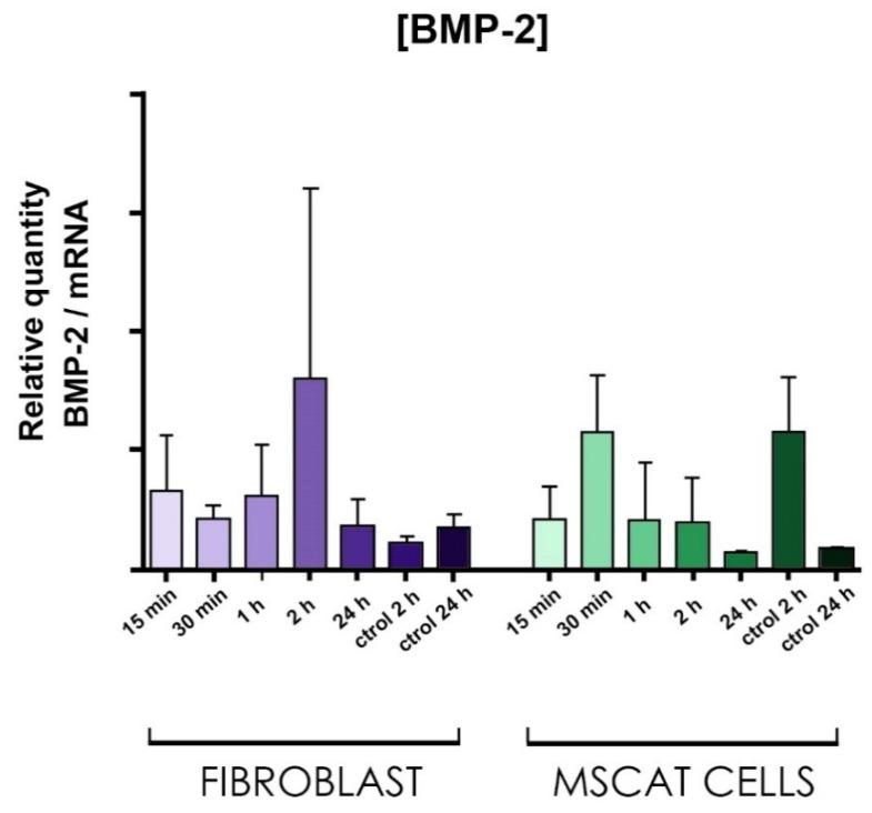https://cdn.ncbi.nlm.nih.gov/pmc/blobs/3c56/8615956/0ce141aca3af/biomedicines-09-01663-g013.jpg