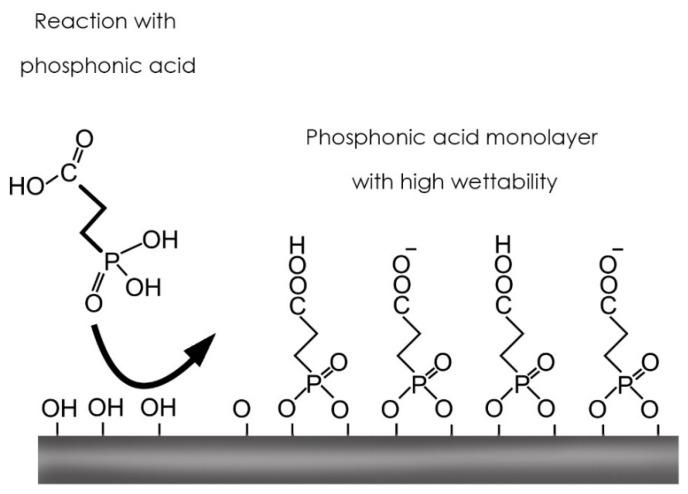 https://cdn.ncbi.nlm.nih.gov/pmc/blobs/3c56/8615956/3d415a2f55cc/biomedicines-09-01663-g001.jpg