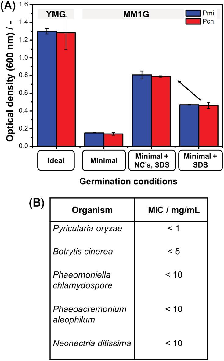 https://cdn.ncbi.nlm.nih.gov/pmc/blobs/3c57/7816251/2ec928ecafc4/BIP-111-e23413-g004.jpg