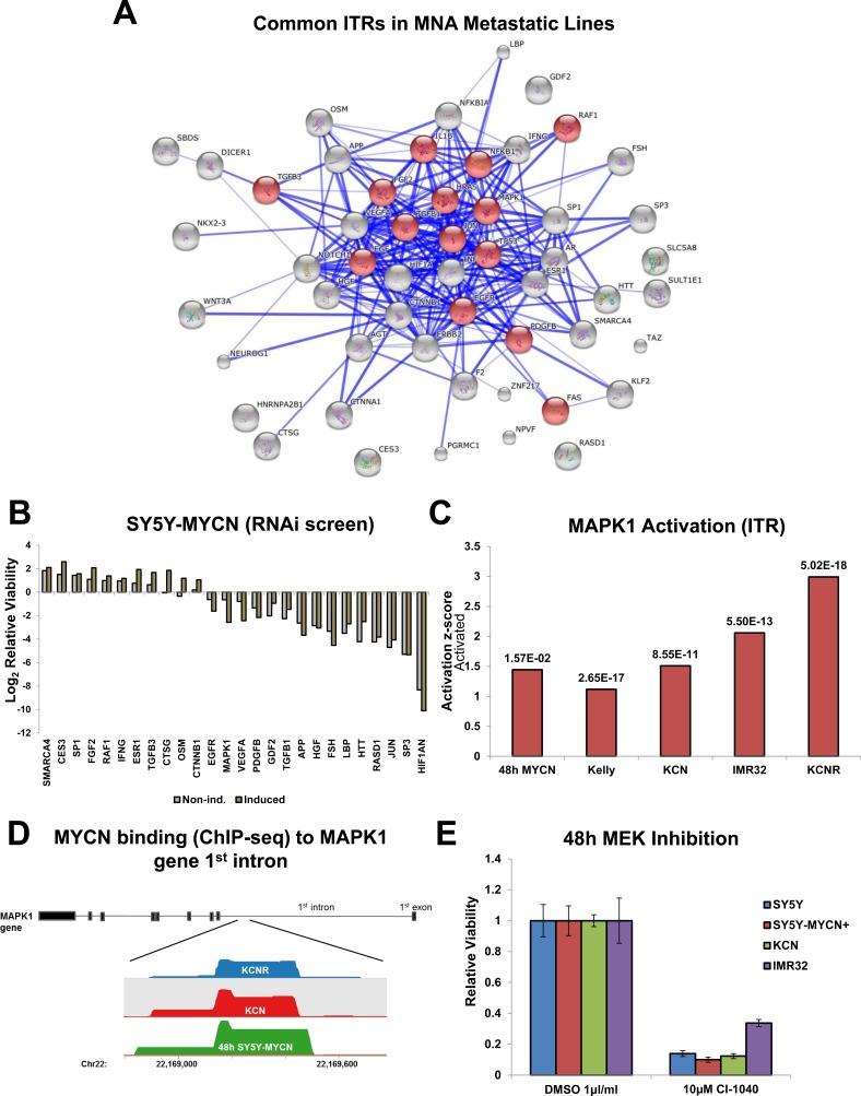 https://cdn.ncbi.nlm.nih.gov/pmc/blobs/3c79/4791225/adc3b08d8c75/oncotarget-06-43182-g005.jpg