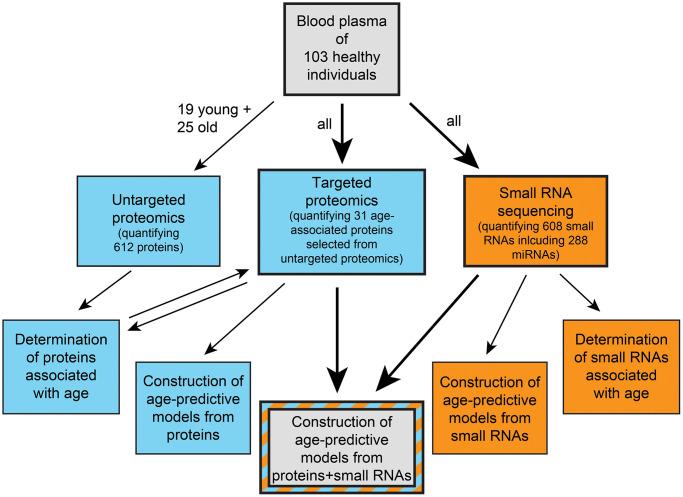 https://cdn.ncbi.nlm.nih.gov/pmc/blobs/3c7a/10333066/7a24de726b3b/aging-15-204787-g001.jpg