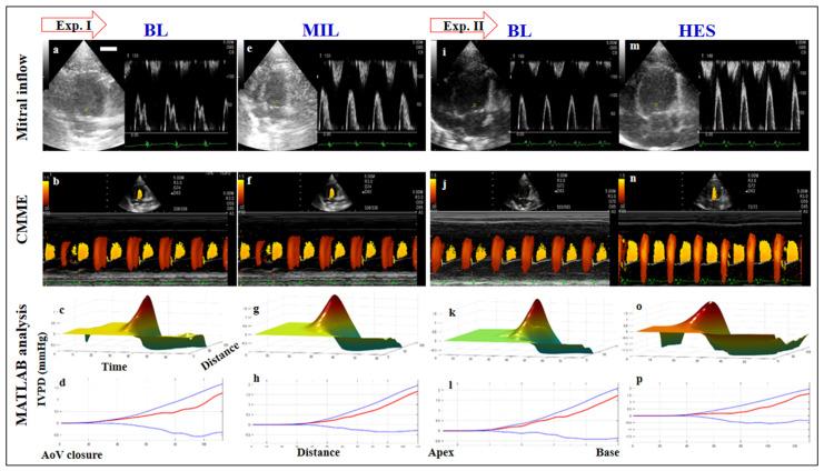https://cdn.ncbi.nlm.nih.gov/pmc/blobs/3cbe/8391789/f4ef6d274e5d/diagnostics-11-01403-g003.jpg