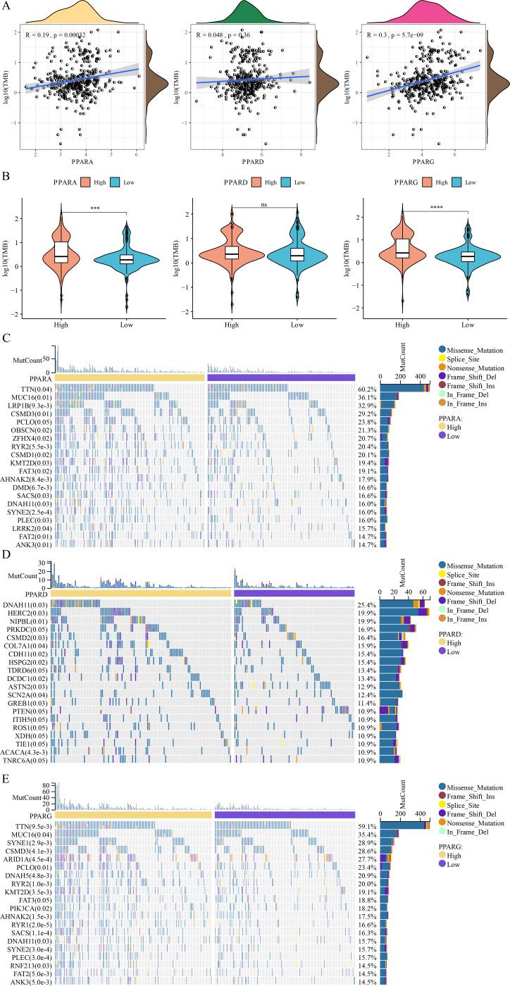 https://cdn.ncbi.nlm.nih.gov/pmc/blobs/3cc0/10962337/11508e615027/peerj-12-17082-g007.jpg
