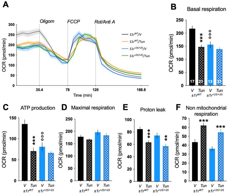 https://cdn.ncbi.nlm.nih.gov/pmc/blobs/3cc2/8537383/1af69303682d/ijms-22-11049-g007.jpg