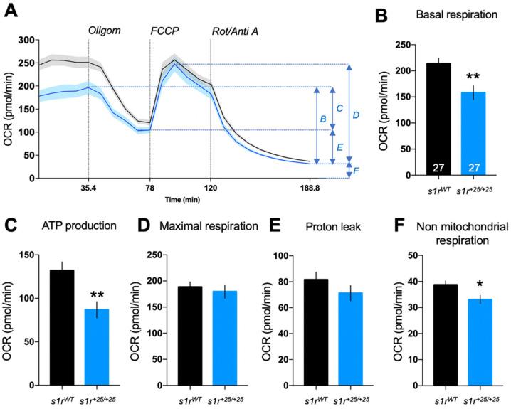 https://cdn.ncbi.nlm.nih.gov/pmc/blobs/3cc2/8537383/53d8445c7bc4/ijms-22-11049-g006.jpg
