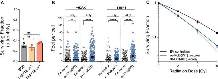 https://cdn.ncbi.nlm.nih.gov/pmc/blobs/3cce/12231584/91c5326d1f50/gkaf574fig5.jpg