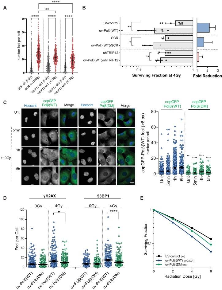 https://cdn.ncbi.nlm.nih.gov/pmc/blobs/3cce/12231584/c1d49607d191/gkaf574fig6.jpg