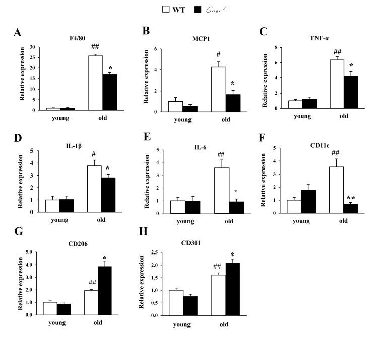 https://cdn.ncbi.nlm.nih.gov/pmc/blobs/3ce6/4761721/49426403da31/aging-08-178-g002.jpg