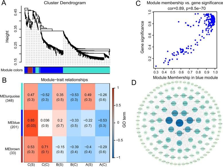 https://cdn.ncbi.nlm.nih.gov/pmc/blobs/3cf7/9969703/57fd671060ca/12870_2023_4128_Fig10_HTML.jpg