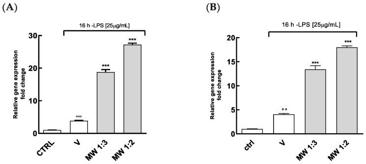 https://cdn.ncbi.nlm.nih.gov/pmc/blobs/3d01/11762152/6879c868bd1c/antioxidants-14-00054-g007.jpg