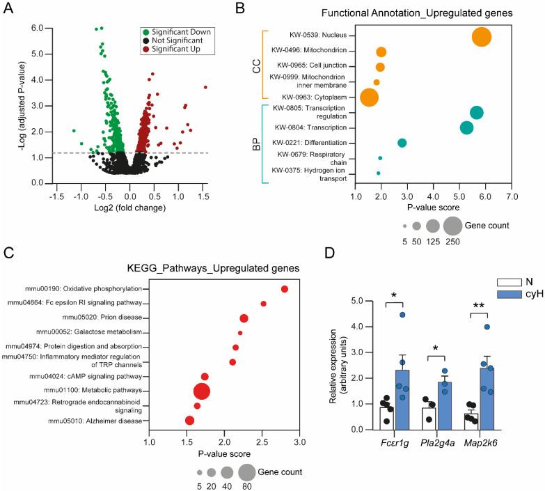 https://cdn.ncbi.nlm.nih.gov/pmc/blobs/3d10/9319477/75c687ffdaa4/cells-11-02239-g003.jpg