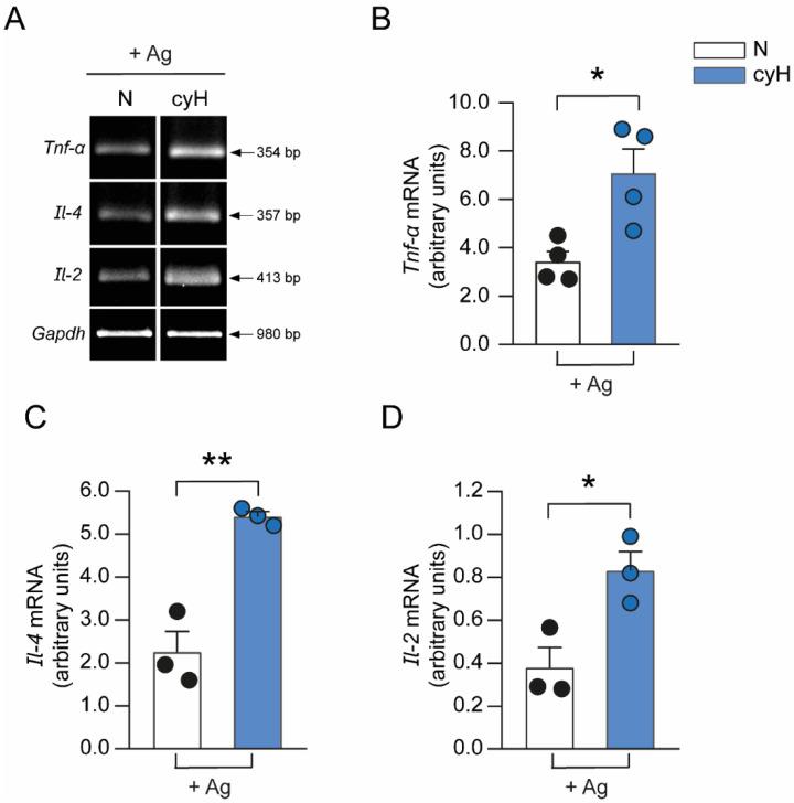 https://cdn.ncbi.nlm.nih.gov/pmc/blobs/3d10/9319477/f3ad912bb0e4/cells-11-02239-g005.jpg