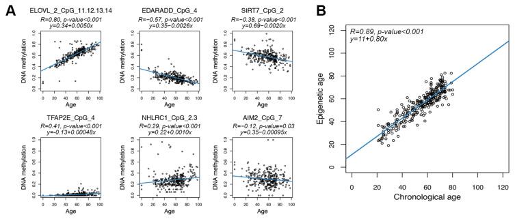 https://cdn.ncbi.nlm.nih.gov/pmc/blobs/3d1d/9777448/6c4c202c5806/cells-11-04044-g002.jpg
