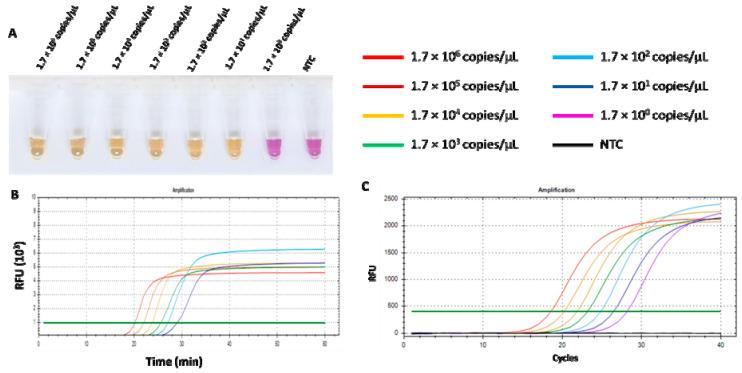 https://cdn.ncbi.nlm.nih.gov/pmc/blobs/3d21/11946810/d6c664760373/viruses-17-00418-g007.jpg