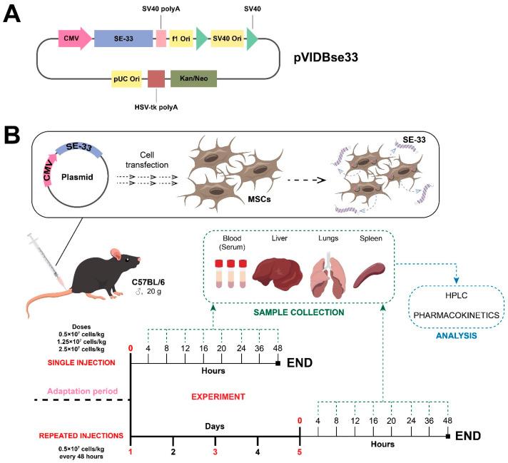 https://cdn.ncbi.nlm.nih.gov/pmc/blobs/3d27/12108424/8bedfd3a9108/antibiotics-14-00429-g004.jpg