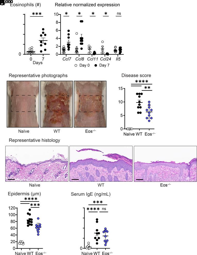 https://cdn.ncbi.nlm.nih.gov/pmc/blobs/3d3e/10861893/9fcd3fee9d6c/pnas.2309243121fig01.jpg
