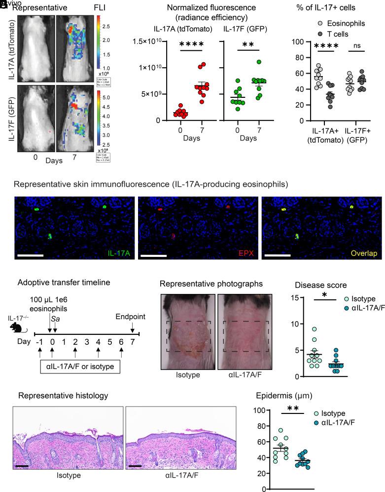 https://cdn.ncbi.nlm.nih.gov/pmc/blobs/3d3e/10861893/cea833392359/pnas.2309243121fig03.jpg