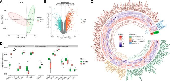 https://cdn.ncbi.nlm.nih.gov/pmc/blobs/3d58/10893897/3c5a160b79c1/iovs-65-2-29-f002.jpg