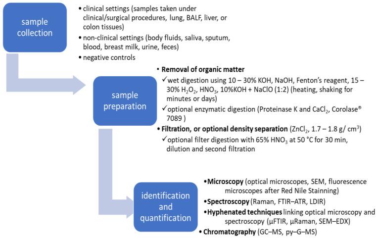 https://cdn.ncbi.nlm.nih.gov/pmc/blobs/3d81/11545399/9453b719cfeb/cancers-16-03703-g001.jpg