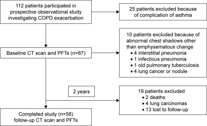 https://cdn.ncbi.nlm.nih.gov/pmc/blobs/3d86/5315203/a8678ff9774e/copd-12-551Fig1.jpg