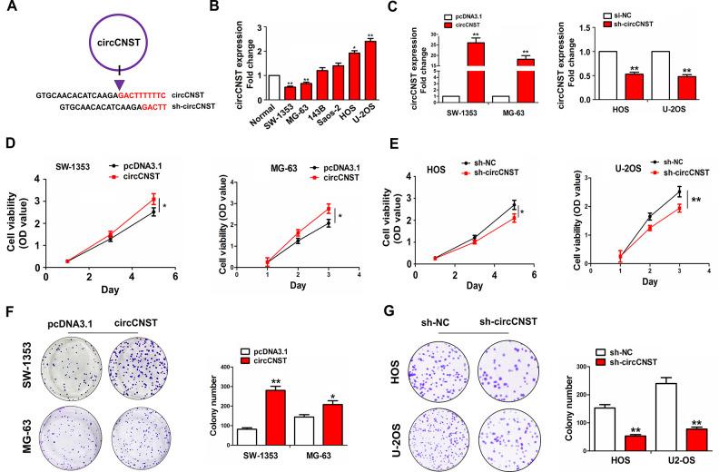 https://cdn.ncbi.nlm.nih.gov/pmc/blobs/3d8c/7563816/5fe370aee319/10.1177_0963689720926147-fig3.jpg