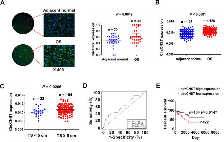 https://cdn.ncbi.nlm.nih.gov/pmc/blobs/3d8c/7563816/b1d19f6f2c8d/10.1177_0963689720926147-fig2.jpg