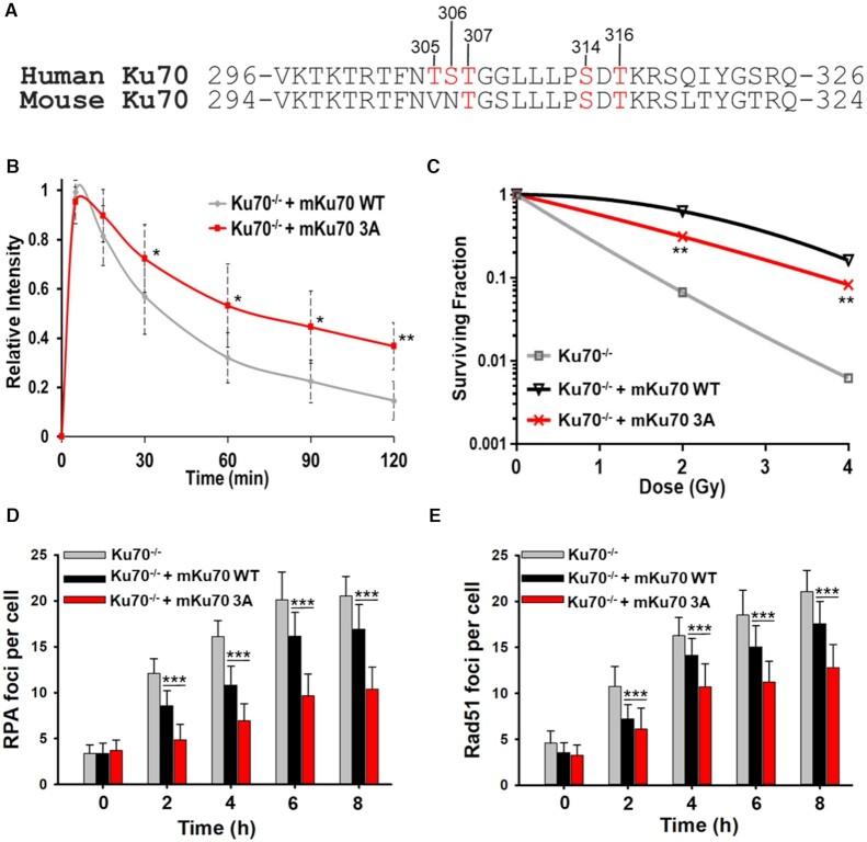 https://cdn.ncbi.nlm.nih.gov/pmc/blobs/3d9f/8464062/5a463f77c36b/gkab743fig1.jpg