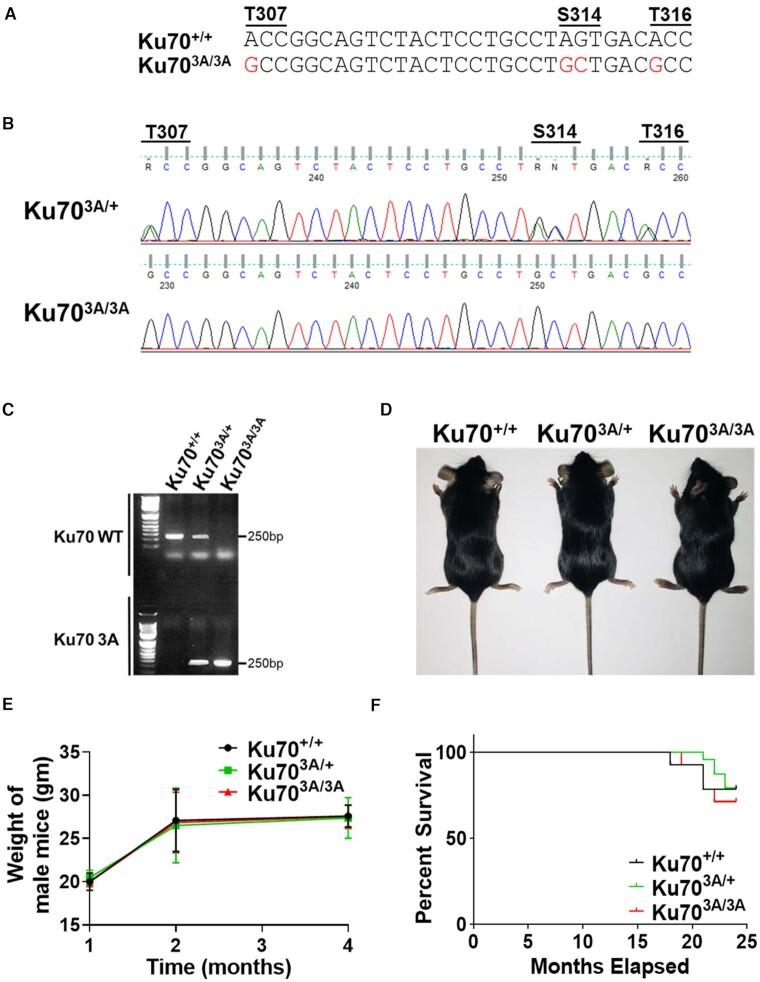 https://cdn.ncbi.nlm.nih.gov/pmc/blobs/3d9f/8464062/c7d43858b48a/gkab743fig2.jpg