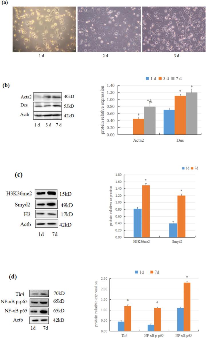 https://cdn.ncbi.nlm.nih.gov/pmc/blobs/3dc7/12003666/b2ed7829dc80/41598_2025_96699_Fig2_HTML.jpg