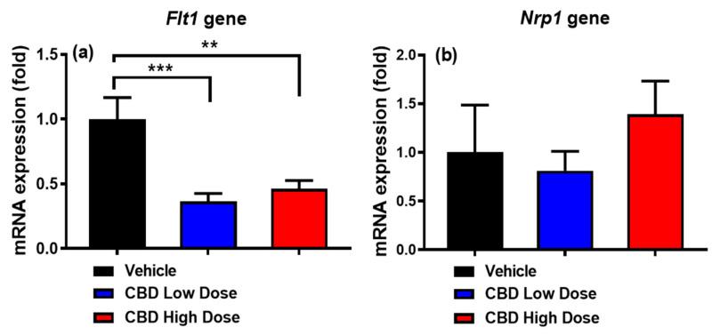 https://cdn.ncbi.nlm.nih.gov/pmc/blobs/3dd8/11944757/550be7c4503f/nutrients-17-01034-g005.jpg