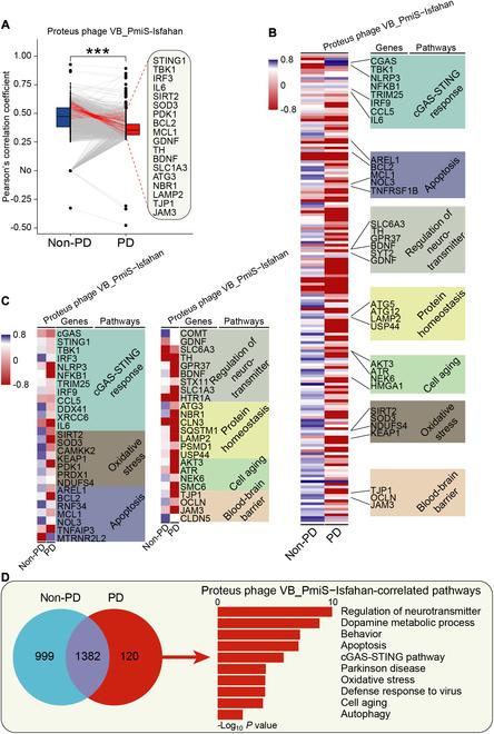 https://cdn.ncbi.nlm.nih.gov/pmc/blobs/3df6/12041648/580afb3ede7b/research.0657.fig.006.jpg