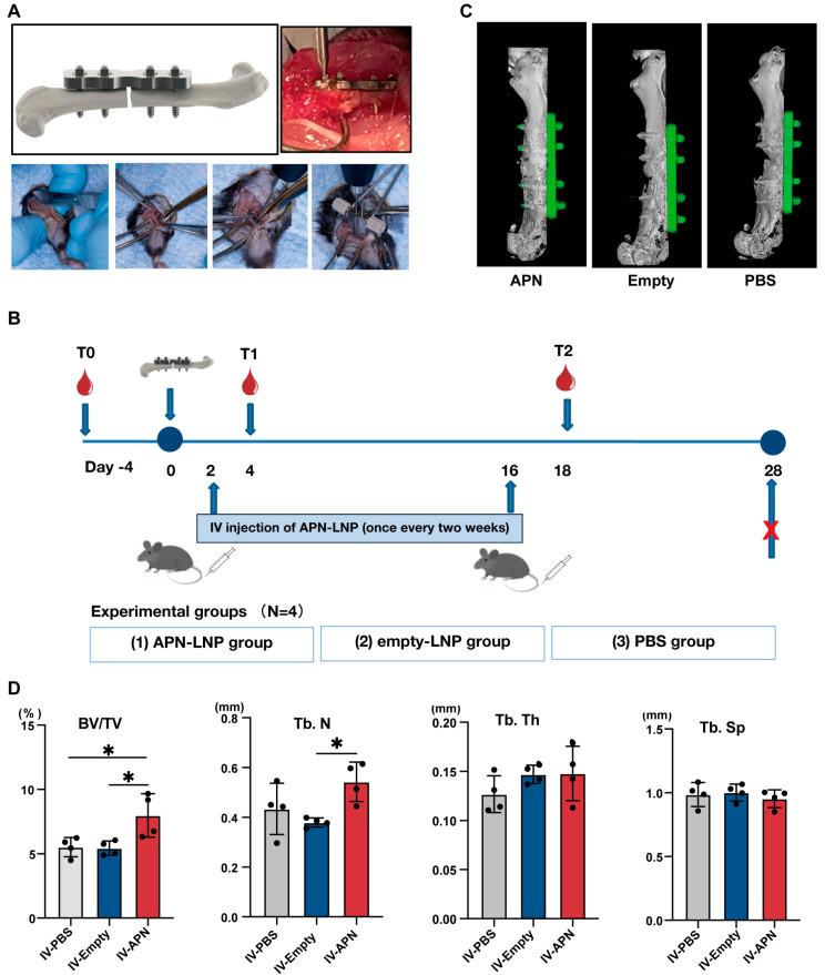 https://cdn.ncbi.nlm.nih.gov/pmc/blobs/3e03/12190357/3d1ac39cb1eb/cells-14-00891-g003.jpg