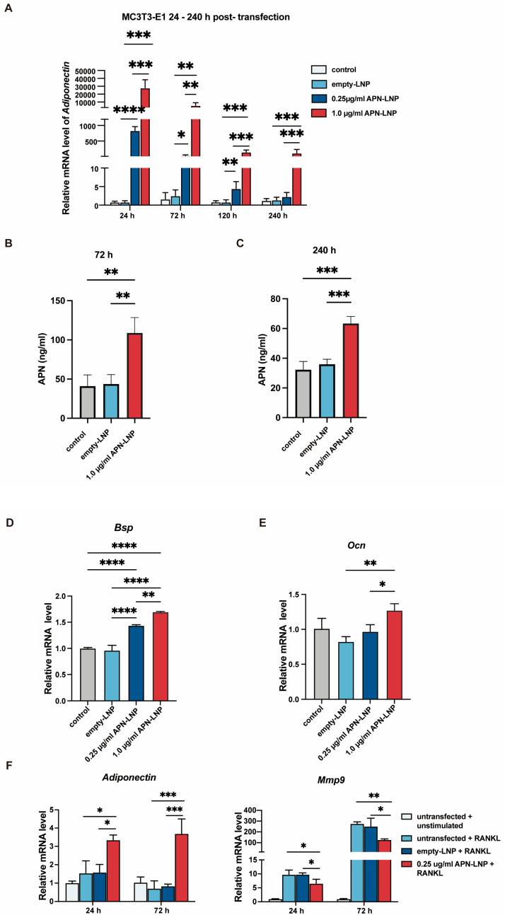 https://cdn.ncbi.nlm.nih.gov/pmc/blobs/3e03/12190357/e4989e309b58/cells-14-00891-g002.jpg