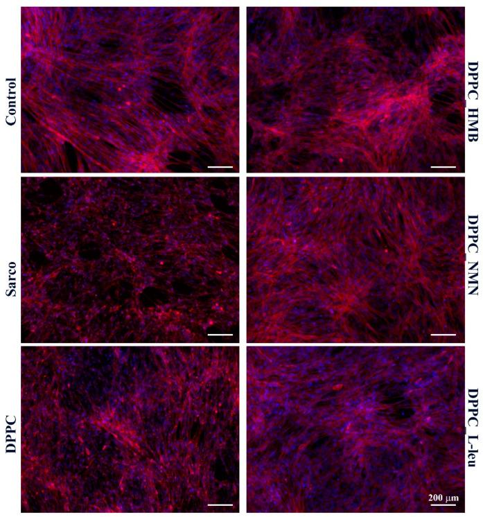 https://cdn.ncbi.nlm.nih.gov/pmc/blobs/3e05/11990474/7e8b2180e1e1/molecules-30-01437-g016.jpg