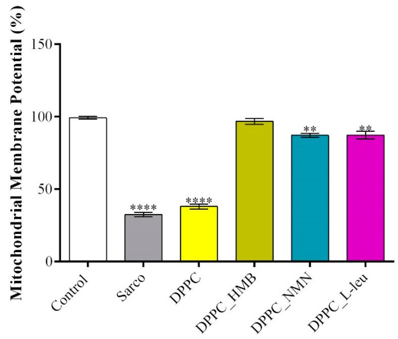 https://cdn.ncbi.nlm.nih.gov/pmc/blobs/3e05/11990474/80d5f7b566c1/molecules-30-01437-g015.jpg