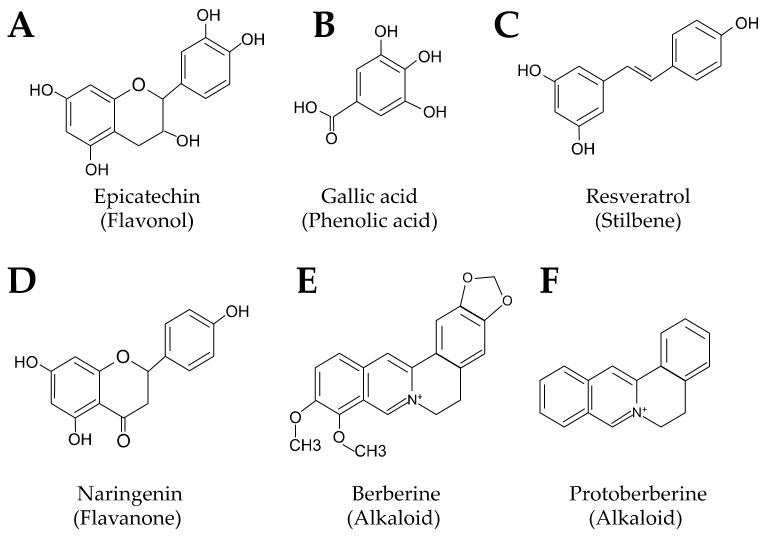 https://cdn.ncbi.nlm.nih.gov/pmc/blobs/3e14/10005405/4fe3912e8a86/nutrients-15-01212-g002.jpg