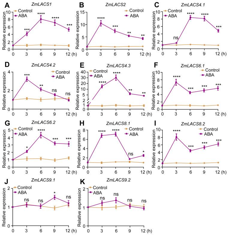 https://cdn.ncbi.nlm.nih.gov/pmc/blobs/3e20/11354158/a2513835e0c4/genes-15-00983-g009.jpg