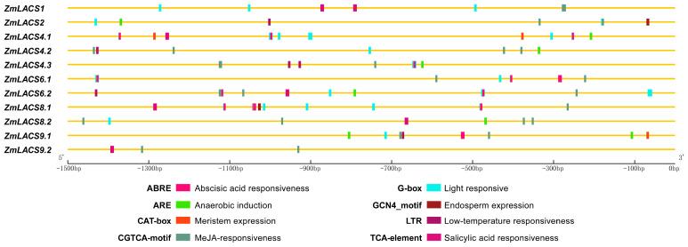 https://cdn.ncbi.nlm.nih.gov/pmc/blobs/3e20/11354158/f07f704f357d/genes-15-00983-g005.jpg