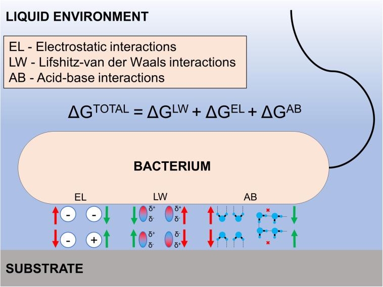 https://cdn.ncbi.nlm.nih.gov/pmc/blobs/3e2a/7907602/e5760f54c740/fbioe-09-643722-g002.jpg