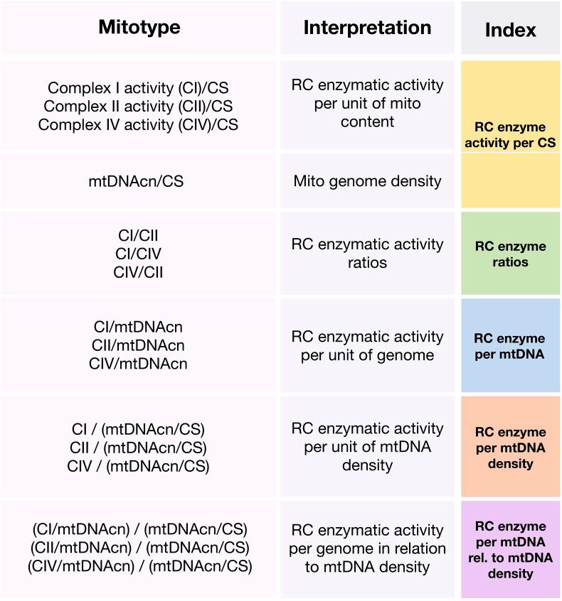 https://cdn.ncbi.nlm.nih.gov/pmc/blobs/3e31/8612706/3756768fd1d3/elife-70899-fig7-figsupp1.jpg