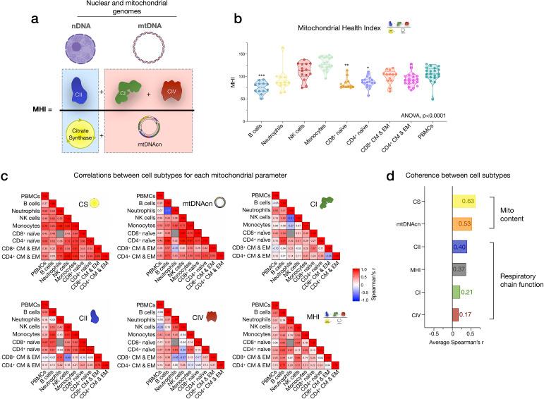 https://cdn.ncbi.nlm.nih.gov/pmc/blobs/3e31/8612706/9572e906b66a/elife-70899-app2-fig1.jpg