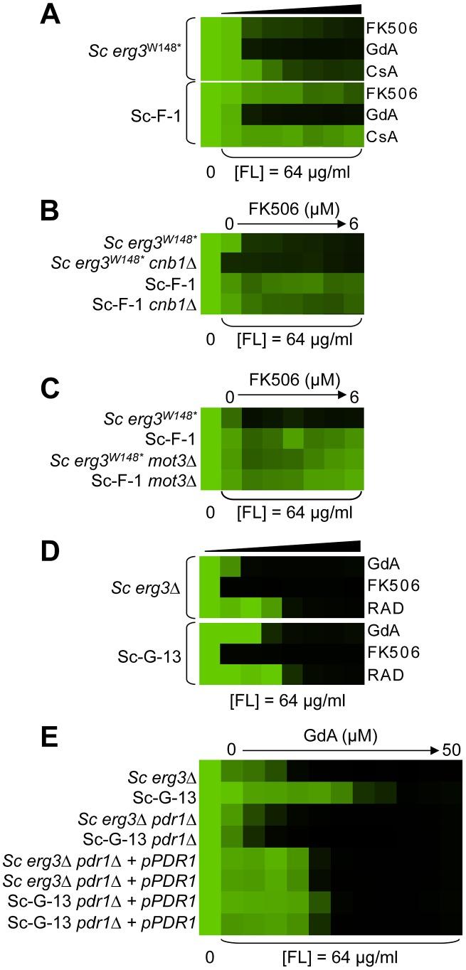 https://cdn.ncbi.nlm.nih.gov/pmc/blobs/3e3b/3617151/e38772d6b8dd/pgen.1003390.g006.jpg